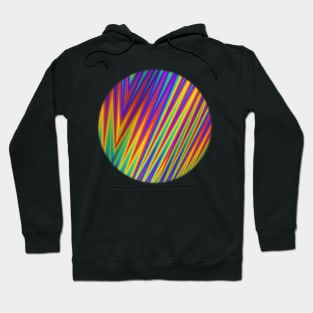 Take Pride Hoodie